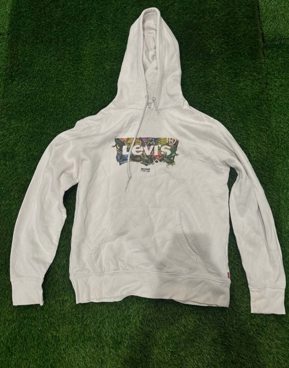 Levi's Second Nature Graphic Standard Pullover Hoodie